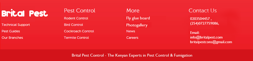 Brital Pest Control - Kenyan experts in pest control and fumigation